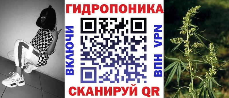 Где можно купить наркотики Шахунья Alpha PVP  COCAIN  Мефедрон  Канабис 
