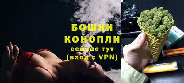 крисы Богородицк