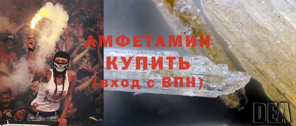 крисы Богородицк