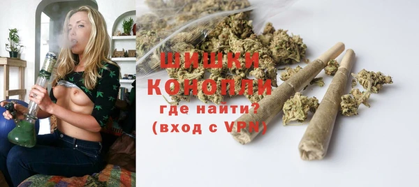 трава Бикин