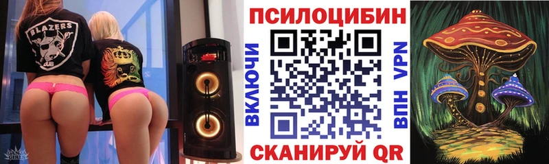 Псилоцибиновые грибы ЛСД  сайты даркнета клад  Шахунья 
